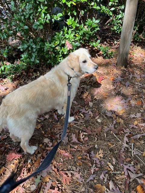 tonightinliverpool-pt-thumb-2_result